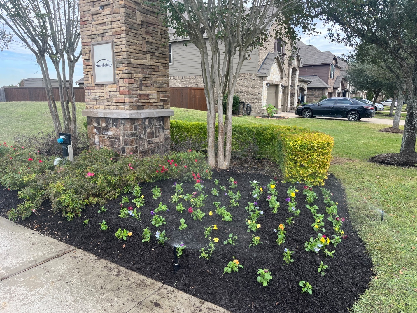 Servicio de Irrigation System Installation & Repair